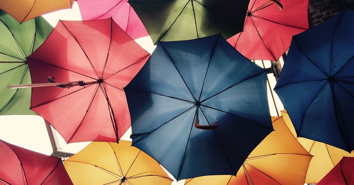 trouvez la meilleure assurance pour vos besoins avec notre comparateur en ligne. obtenez des devis gratuits et protégez-vous contre les imprévus avec nos offres exclusives.