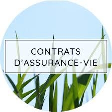 découvrez les dernières nouveautés en matière d'assurance pour vous protéger efficacement.