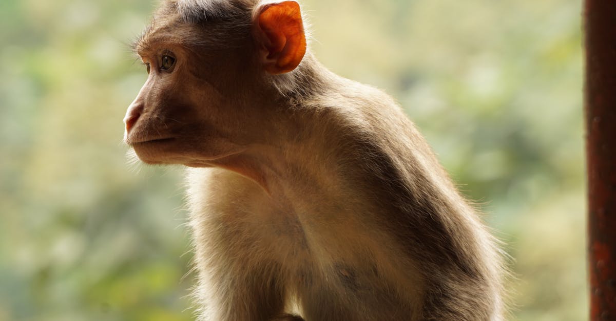 découvrez les fonctionnalités innovantes et essentielles qui rendent notre produit incontournable. profitez d'une expérience utilisateur améliorée grâce à des outils adaptés à vos besoins!