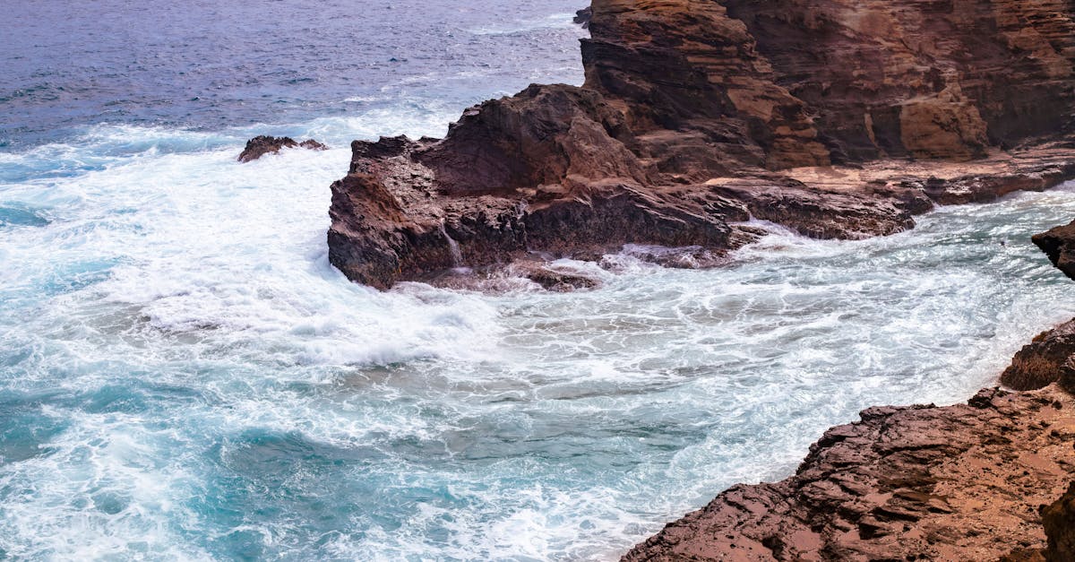 découvrez les fonctionnalités innovantes qui rendent notre produit unique. explorez comment ces caractéristiques peuvent améliorer votre expérience et répondre à vos besoins spécifiques.