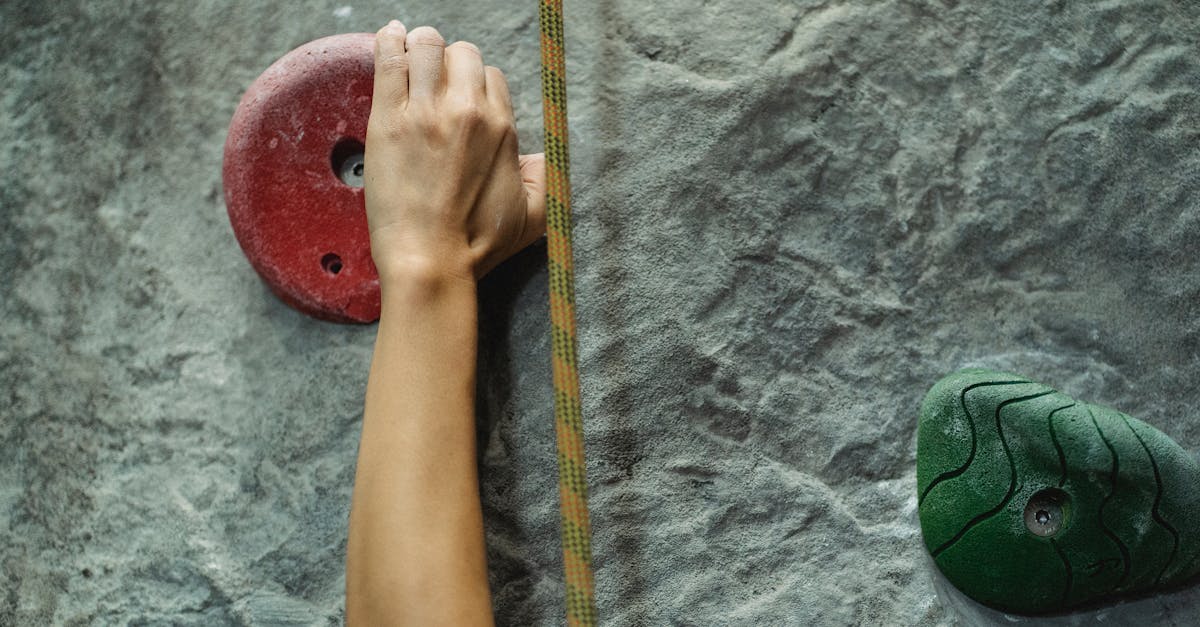 obtenez un certificat d'activité professionnelle reconnu pour valider votre expérience et vos compétences. ce document essentiel facilite vos démarches professionnelles et renforce votre crédibilité sur le marché du travail.