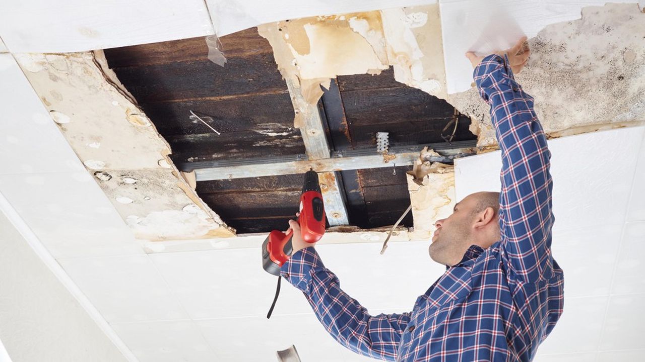 protégez votre ordinateur avec une assurance habitation adaptée aux accidents. couverture complète contre les dommages, le vol et les sinistres, pour que vous puissiez travailler en toute tranquillité, sans craindre les imprévus.