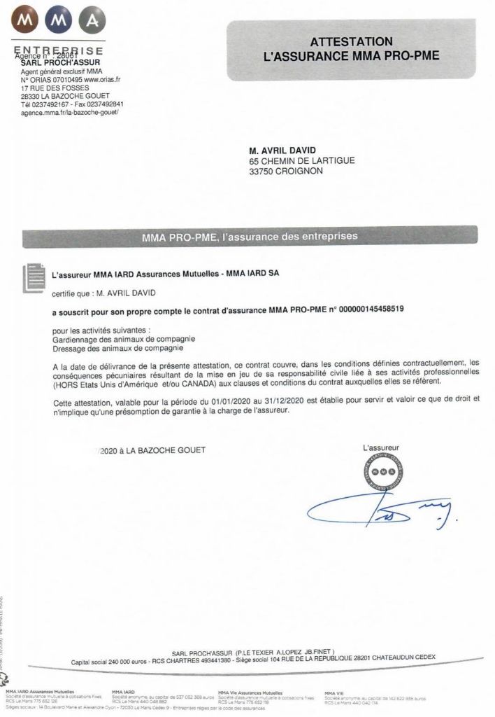 obtenez votre attestation de responsabilité civile professionnelle (rc pro) en toute simplicité. protégez votre activité et vos clients grâce à cette couverture essentielle qui atteste de votre professionnalisme et vous sécurise face aux risques. découvrez les avantages et les étapes pour l'obtenir rapidement.
