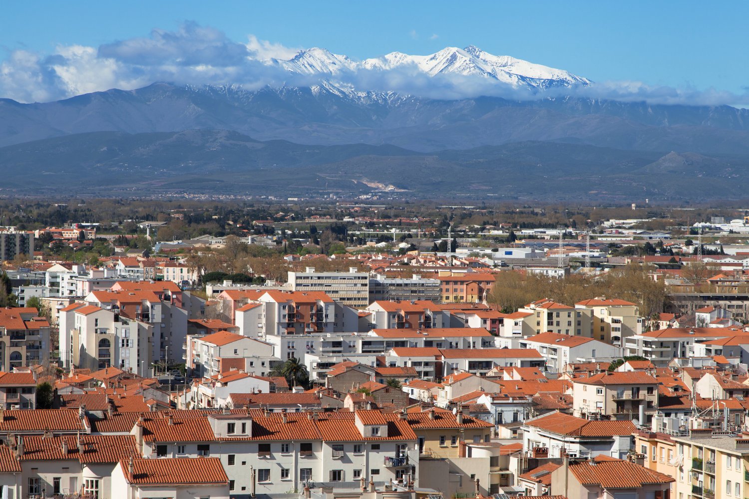 découvrez les meilleures options d'assurances à perpignan pour protéger votre véhicule, votre logement et votre santé. comparez les offres et choisissez la couverture adaptée à vos besoins avec des conseils d'experts.